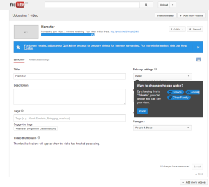 YouTube video settings page